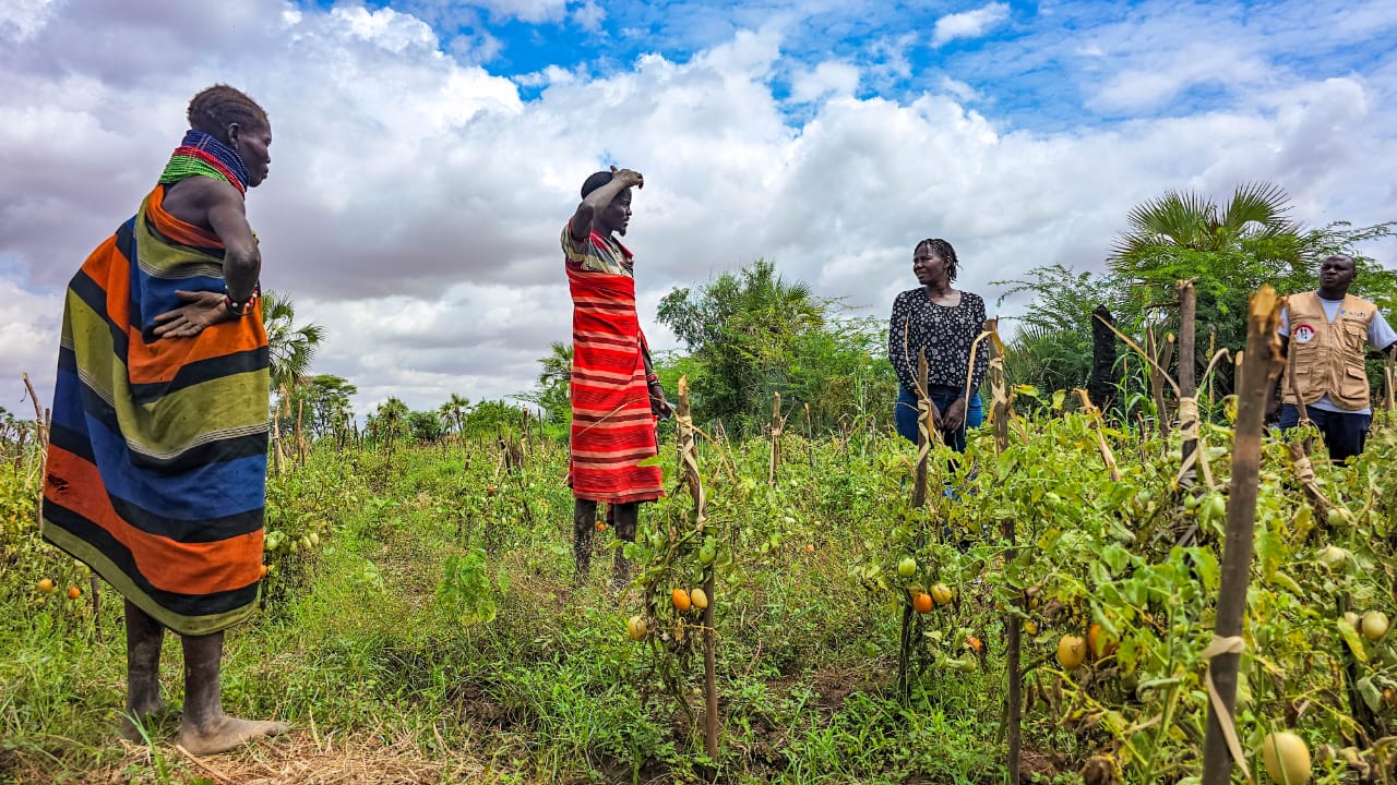 Farmers working in a field